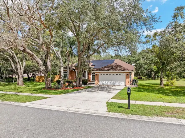 13925 Echo Mountain Drive, HUDSON, FL 34667