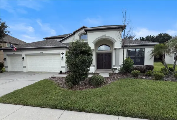 11932 Harpswell Drive, RIVERVIEW, FL 33579
