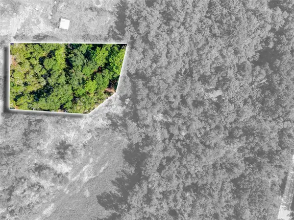 0 Sandstone Street, WEBSTER, FL 33597