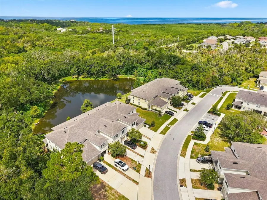 2919 Jacob Crossing Lane, Holiday, FL 34691 - #3