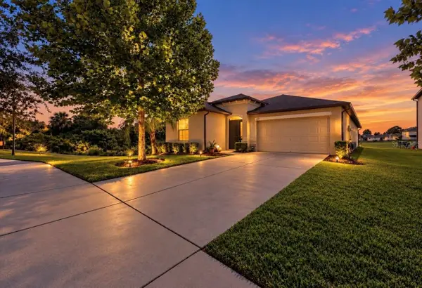 10017 Caraway Spice Avenue, RIVERVIEW, FL 33578