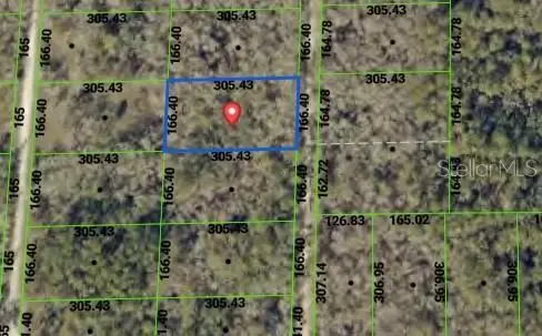 TBD Packingham Drive, WEBSTER, FL 33597