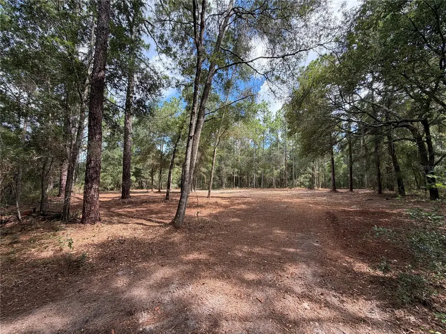 0 Virts Avenue, Brooksville, FL 34604 - #3