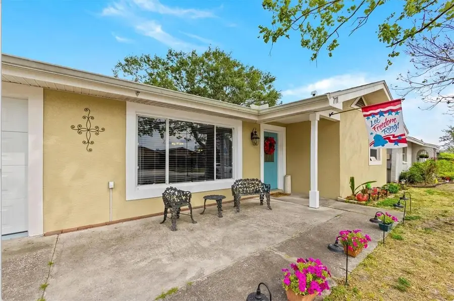 711 Lemonwood Drive, Oldsmar, FL 34677 - #2