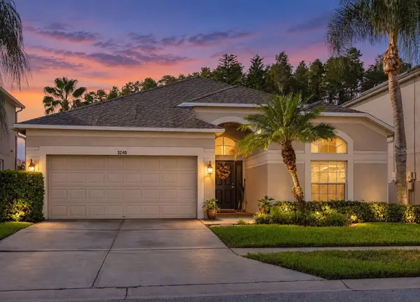 3240 Downan Point Drive, LAND O LAKES, FL 34638