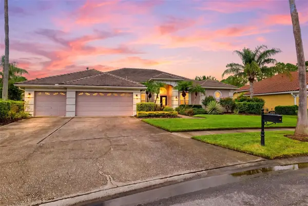 12012 Brewster Drive, TAMPA, FL 33626