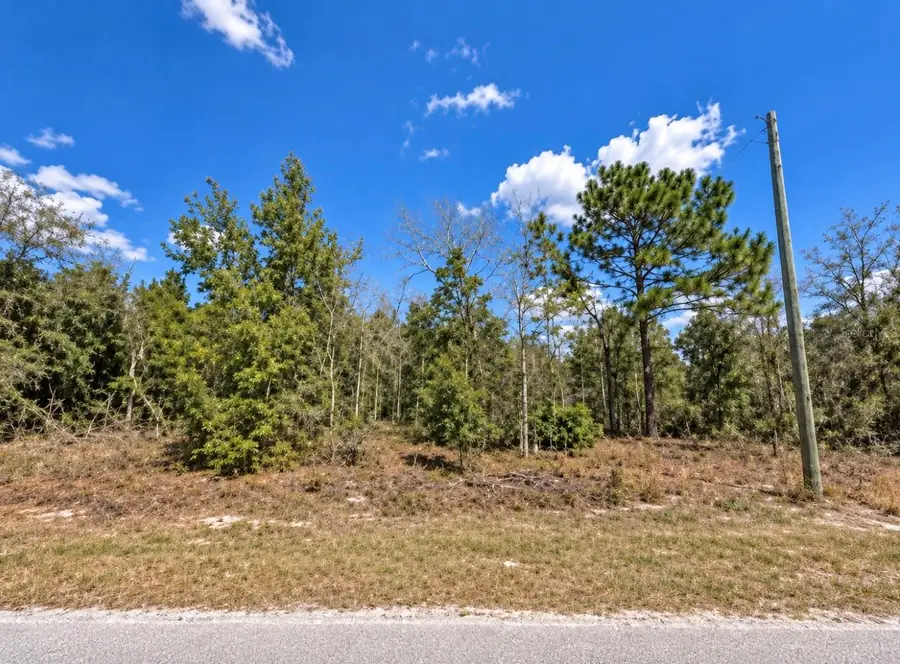 15540 Cliff Swallow Rd, Brooksville, FL 34614 - #2