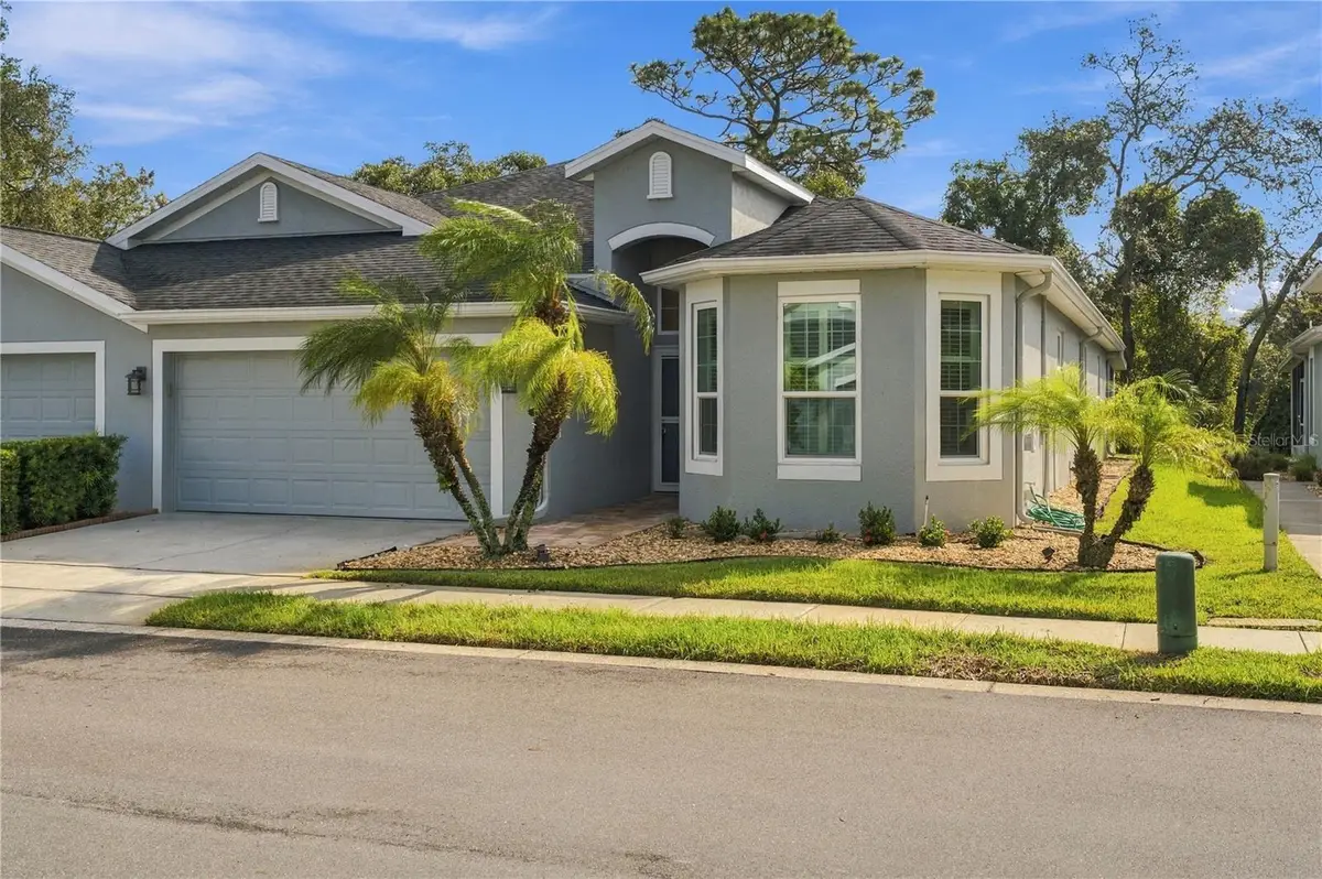10719 Ashford Oaks Drive, Tampa, FL 33625 - #1