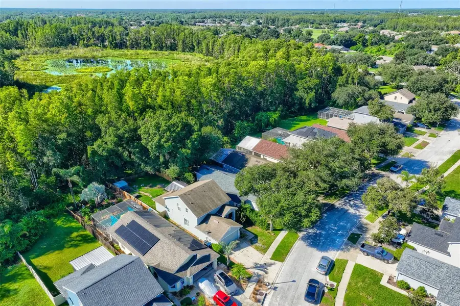 7902 Citrus Blossom Drive, Land O Lakes, FL 34637 - #2