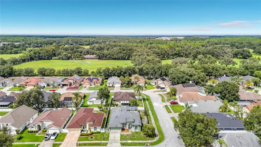 28829 Windover Street, Wesley Chapel, FL 33545 - #2