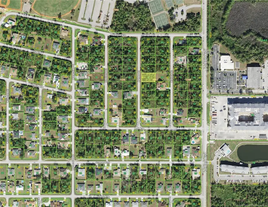 1190 Agnew Street, Port Charlotte, FL 33980 - #3