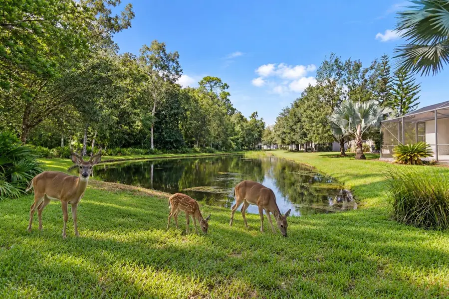 11438 Merganser Way, New Port Richey, FL 34654 - #2