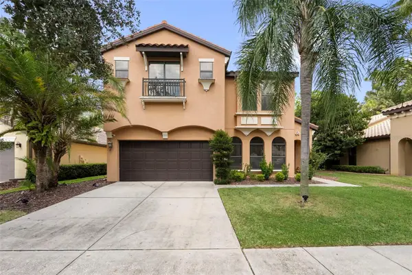 8264 Dunham Station Drive, TAMPA, FL 33647