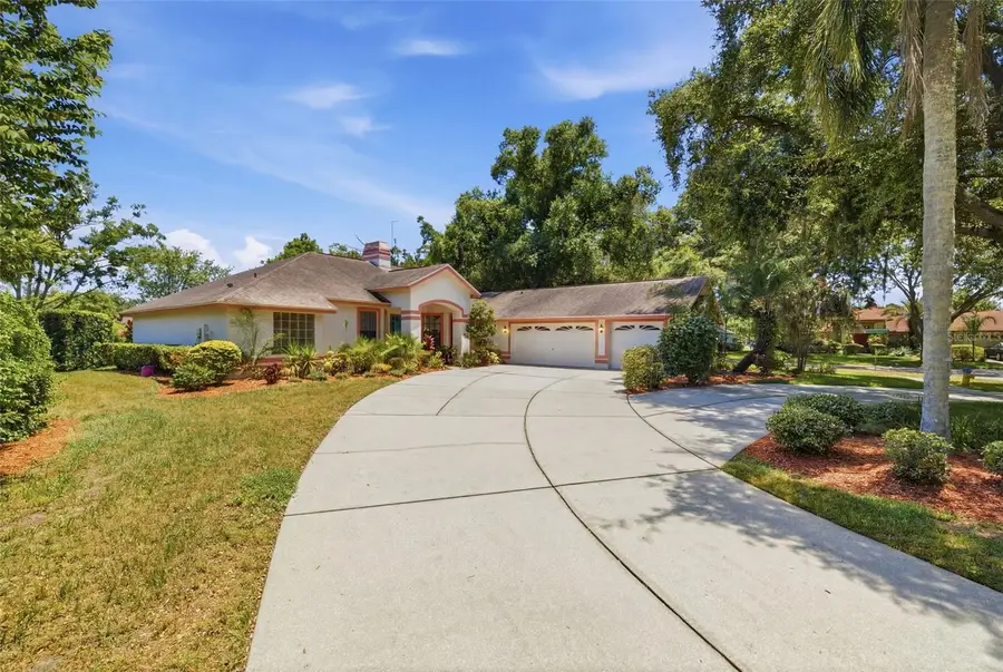 16501 Blenheim Drive, Lutz, FL 33549 - #2