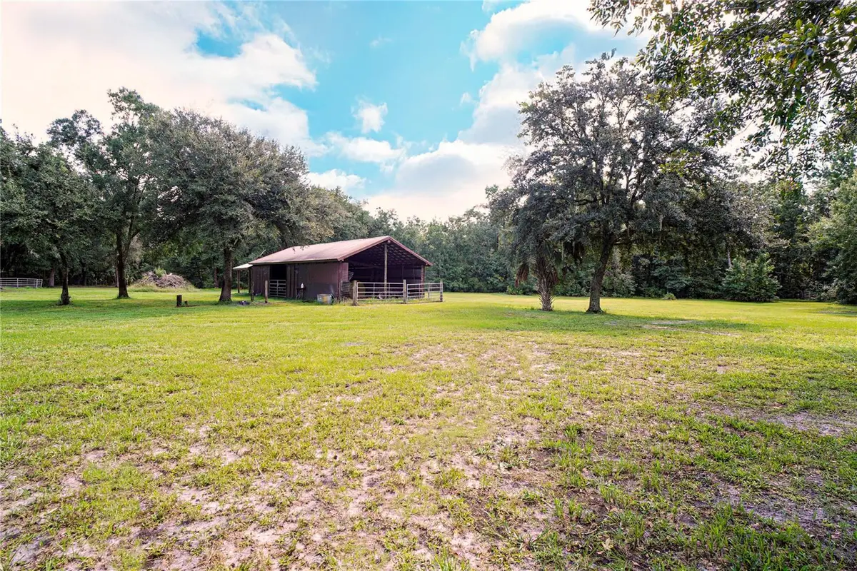 Karlotta Lane, Land O Lakes, FL 34639 - #1