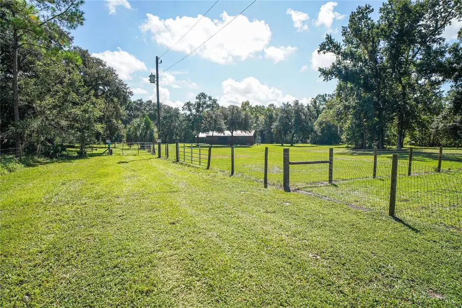 Karlotta Lane, Land O Lakes, FL 34639 - #3