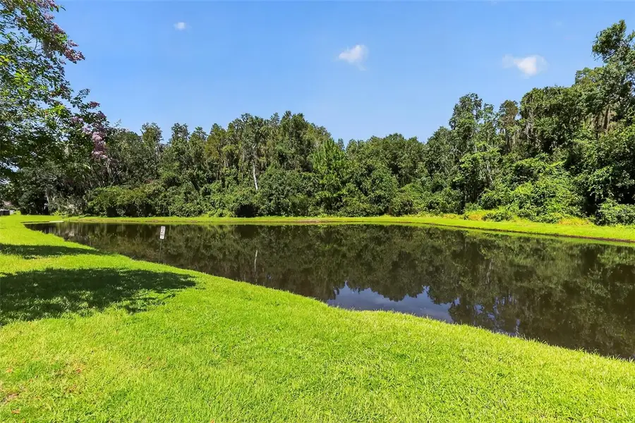 1677 Ludington Avenue, Wesley Chapel, FL 33543 - #2