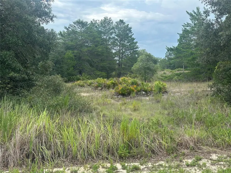 6977 S Rainbow Point, Homosassa, FL 34446 - #3