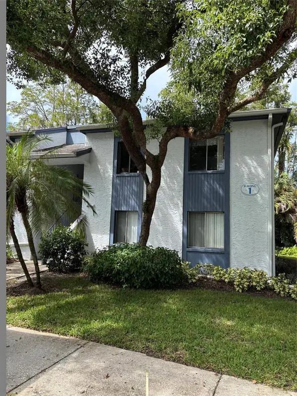 104 Cypress Lane #104, OLDSMAR, FL 34677