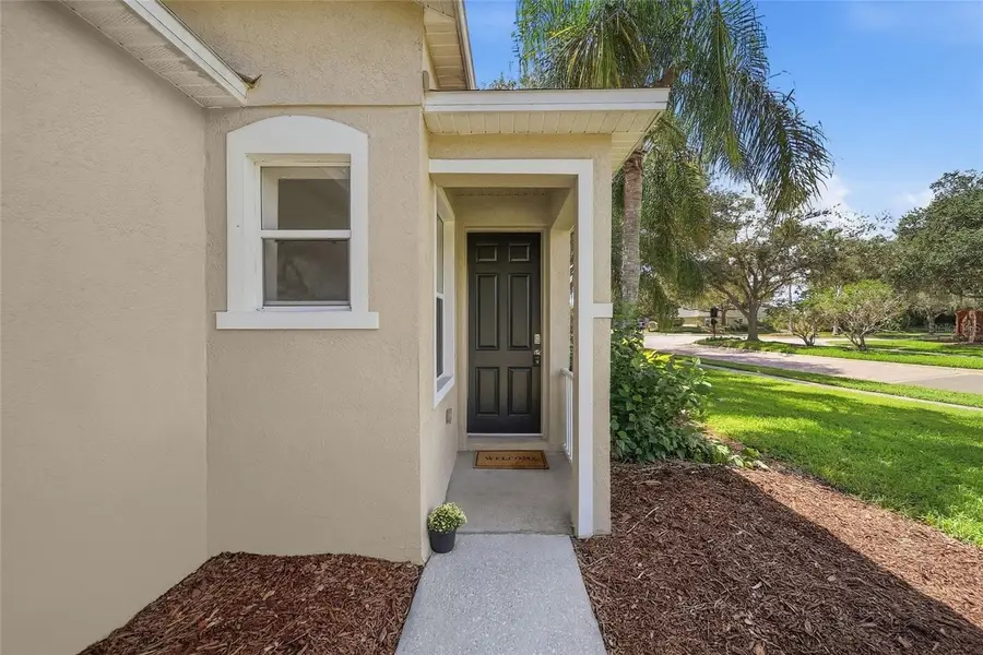 2306 Spring Hollow Loop, Wesley Chapel, FL 33544 - #2