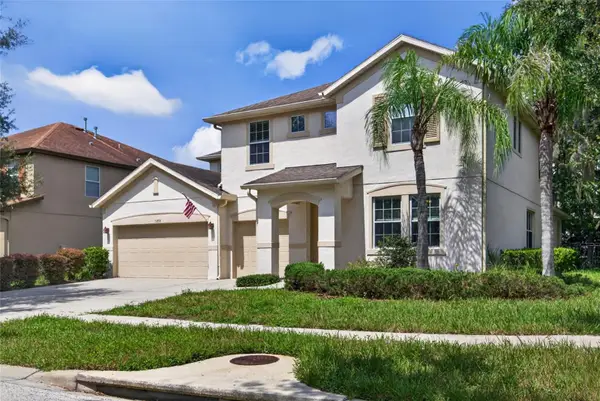 15718 Starling Dale Lane, LITHIA, FL 33547