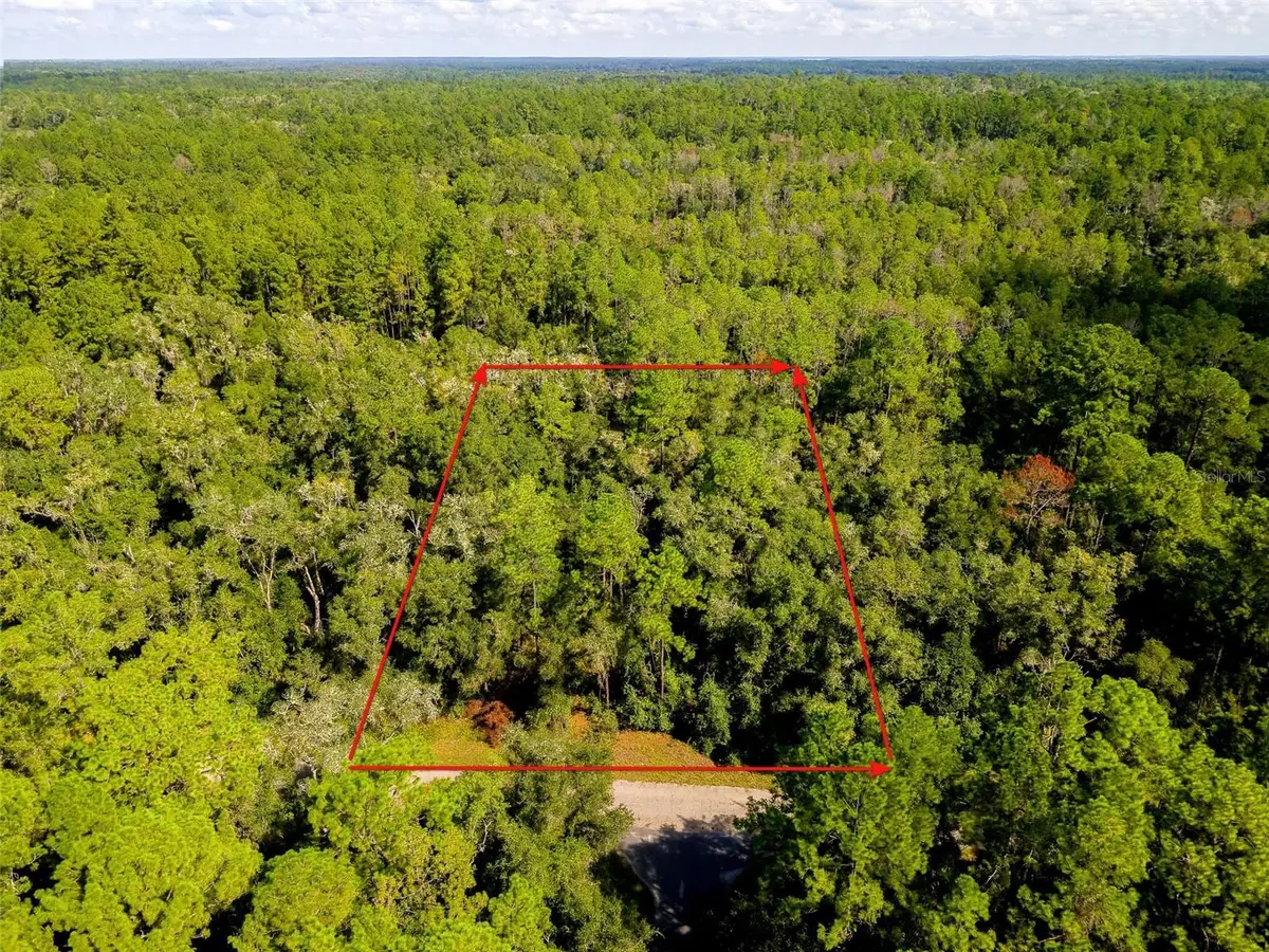 1135 E Odin Drive, Citrus Springs, FL 34434 - #1