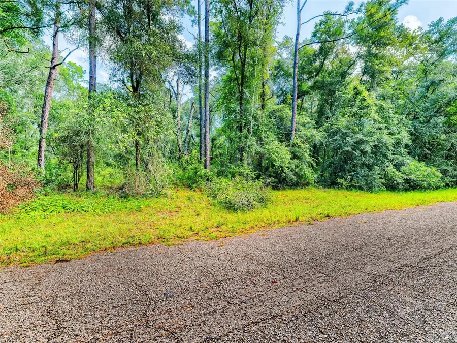 1135 E Odin Drive, Citrus Springs, FL 34434 - #2