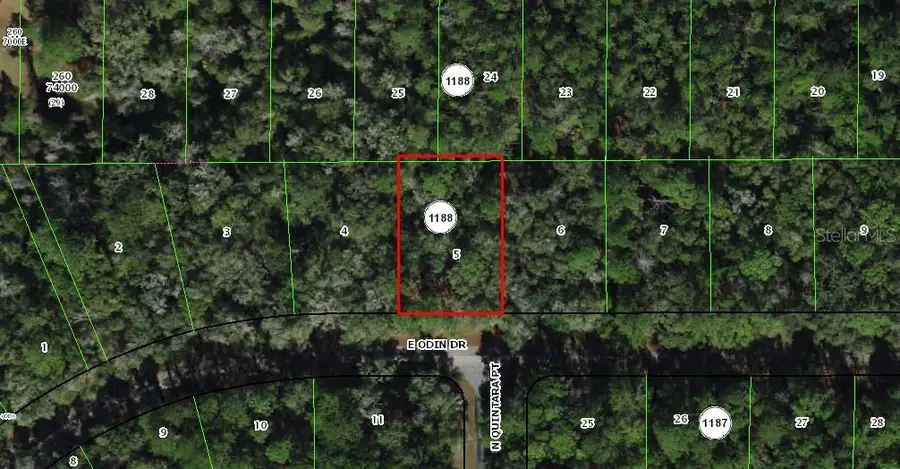 1135 E Odin Drive, Citrus Springs, FL 34434 - #3