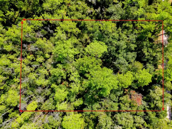 1163 E Odin Drive, CITRUS SPRINGS, FL 34434