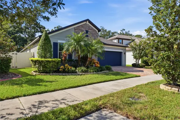 10443 Alcon Blue Drive, RIVERVIEW, FL 33578