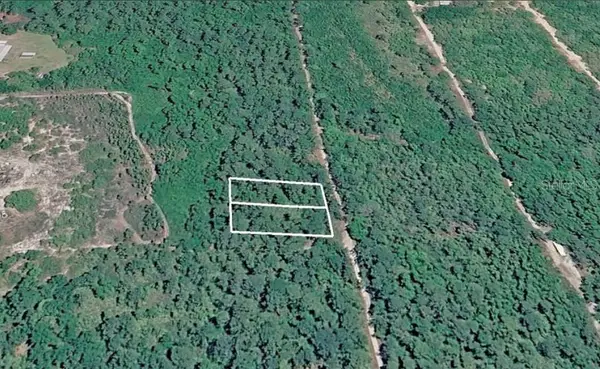231 and 233 W Edgeline Road, SATSUMA, FL 32189