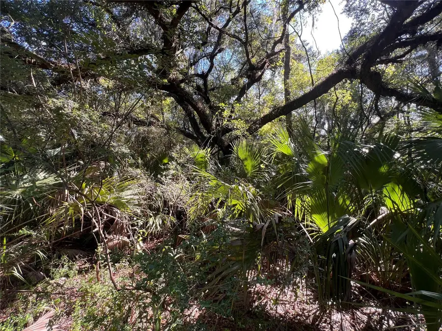 Address Withheld By Seller, Crystal River, FL 34428 - #2