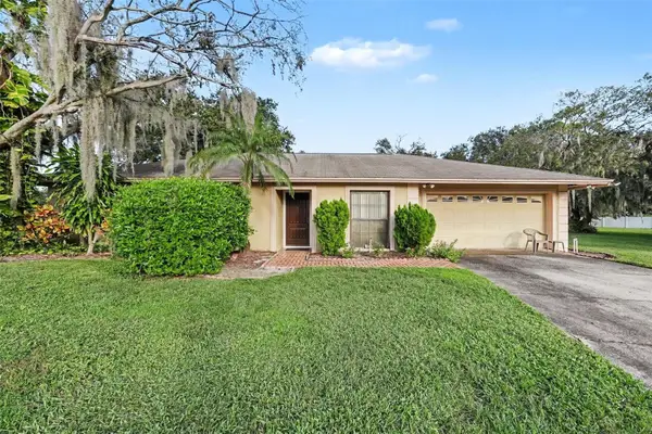 602 Speck Court, TAMPA, FL 33613