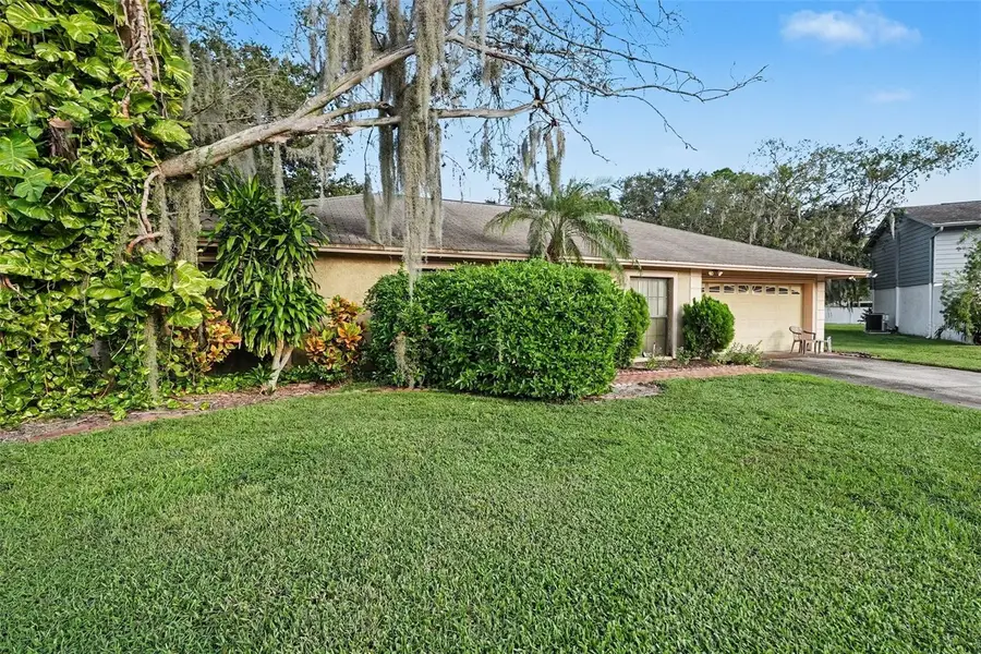 602 Speck Court, Tampa, FL 33613 - #3