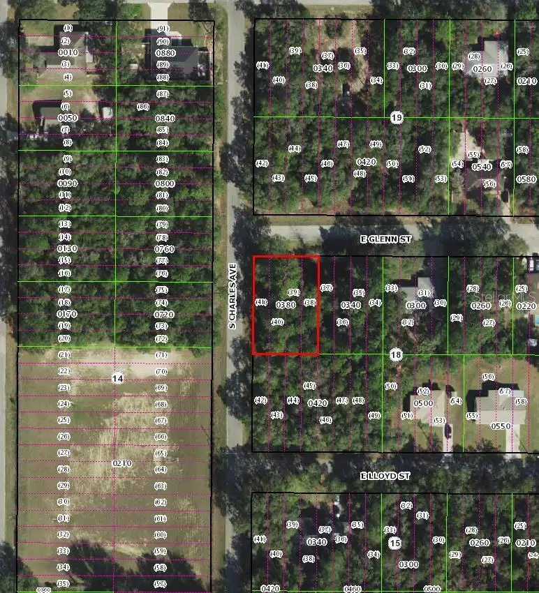 3022 E Glenn Street, Inverness, FL 34453 - #1