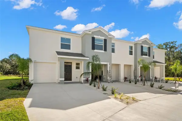 1393 Colt Creek Place, WESLEY CHAPEL, FL 33543