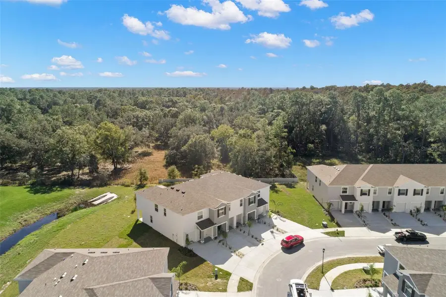 1393 Colt Creek Place, Wesley Chapel, FL 33543 - #3