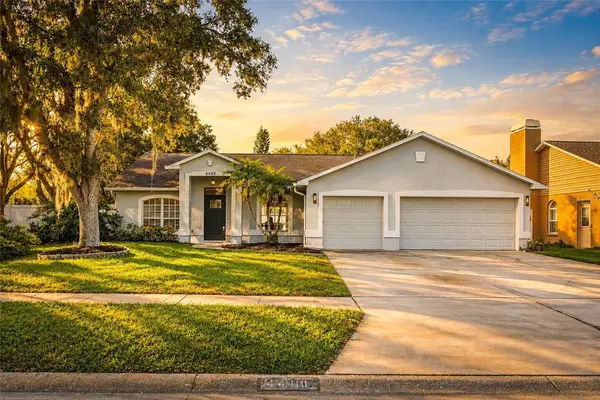 4410 Kendal Court, VALRICO, FL 33596