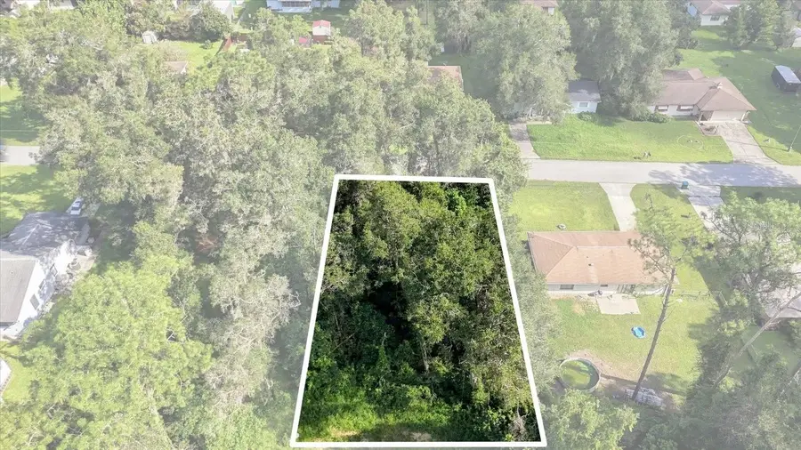 6136 E Rector Street, Inverness, FL 34452 - #3