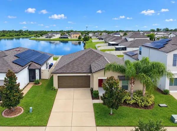 5005 White Chicory Drive, APOLLO BEACH, FL 33572