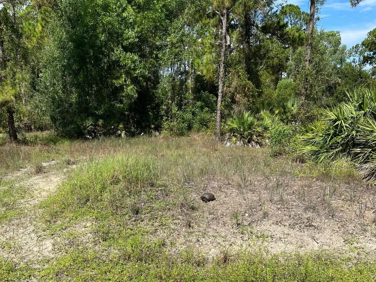 12 Monroe Avenue, Lehigh Acres, FL 33936 - #1