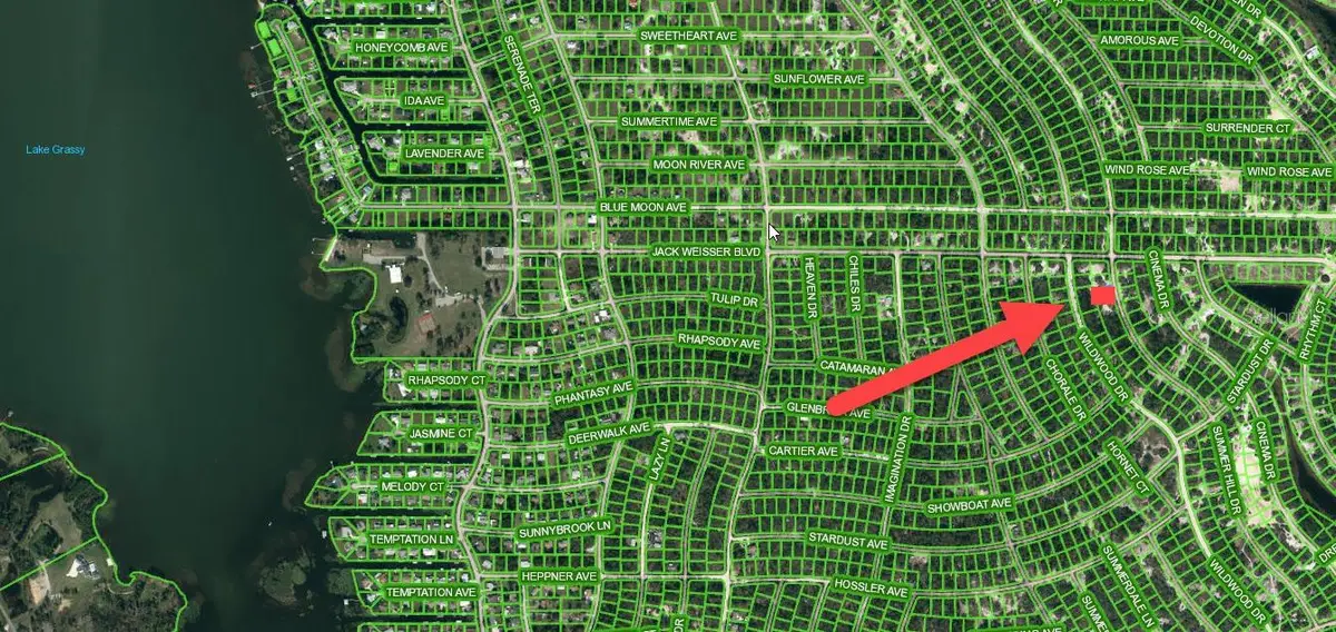 364 Summer Hill Drive, Lake Placid, FL 33852 - #1