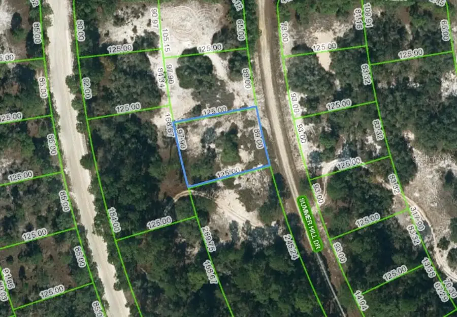 364 Summer Hill Drive, Lake Placid, FL 33852 - #2