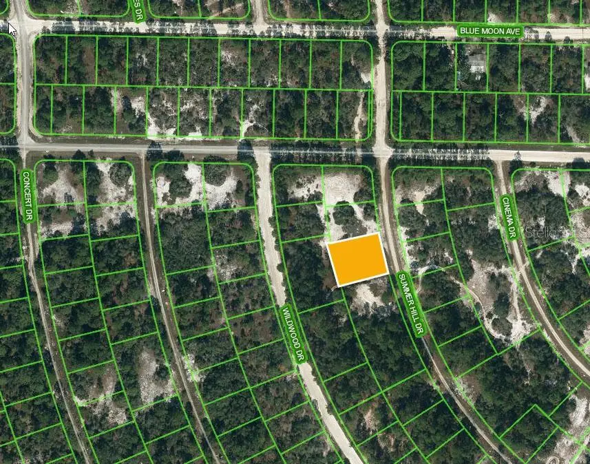 364 Summer Hill Drive, Lake Placid, FL 33852 - #3