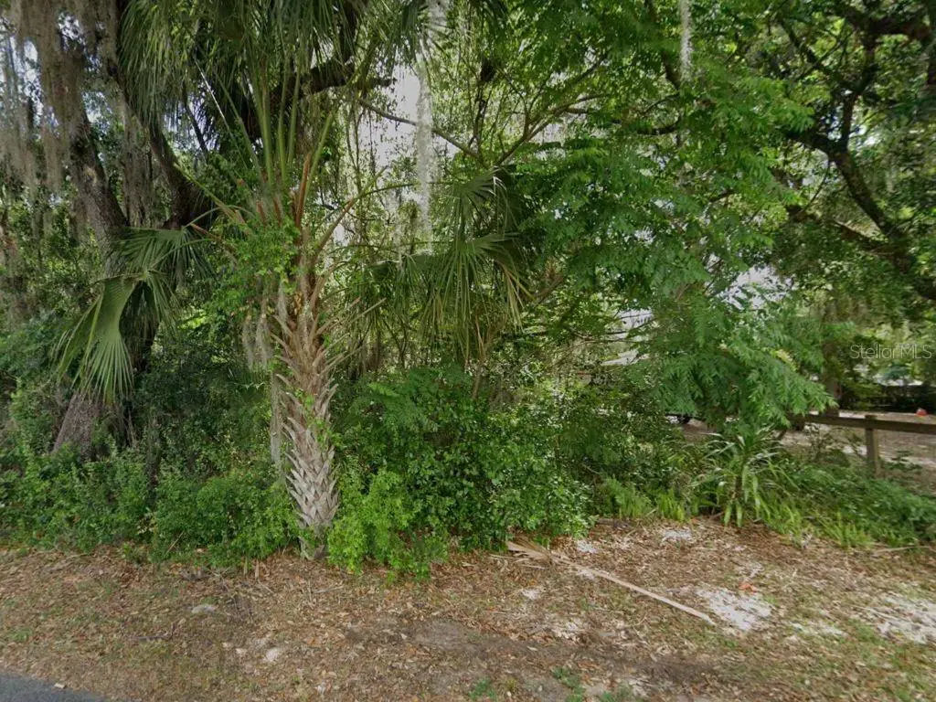 100 S Tern Point, Inverness, FL 34450 - #1