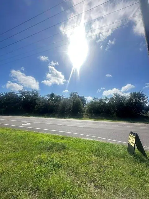 Farnam Drive, Tarpon Springs, FL 34689 - #1