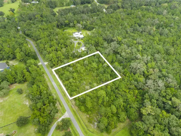 12563 SW 17th Drive, MICANOPY, FL 32667