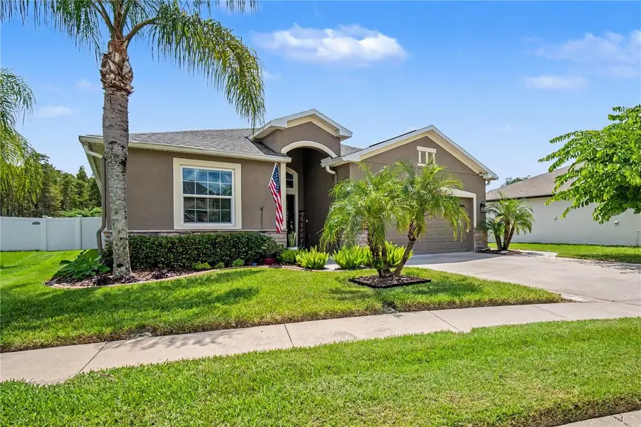 18756 Burndall Court, Land O Lakes, FL 34638 - #3