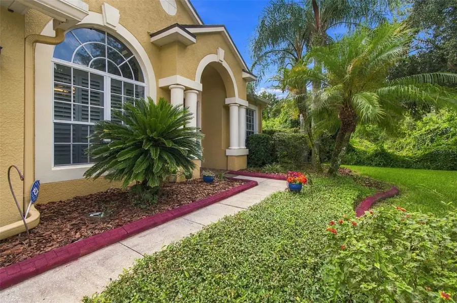 21444 Cormorant Cove Drive, Land O Lakes, FL 34637 - #3