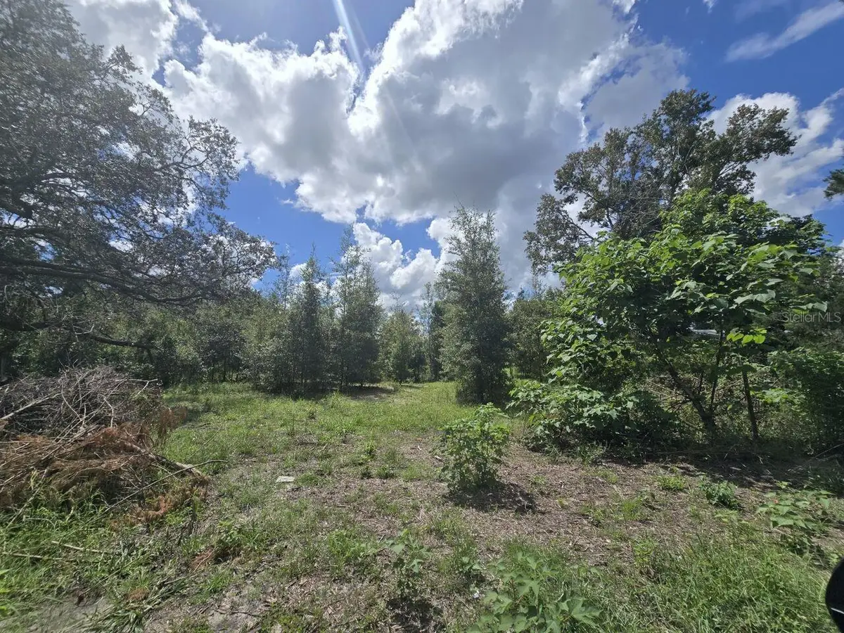 St. Paul Dr, Spring Hill, FL 34610 - #1